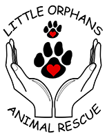 Little Orphans Animal Rescue