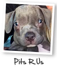 Pits R US