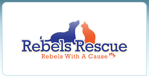 Rebels Rescue