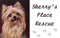 Sherry's Place Rescue