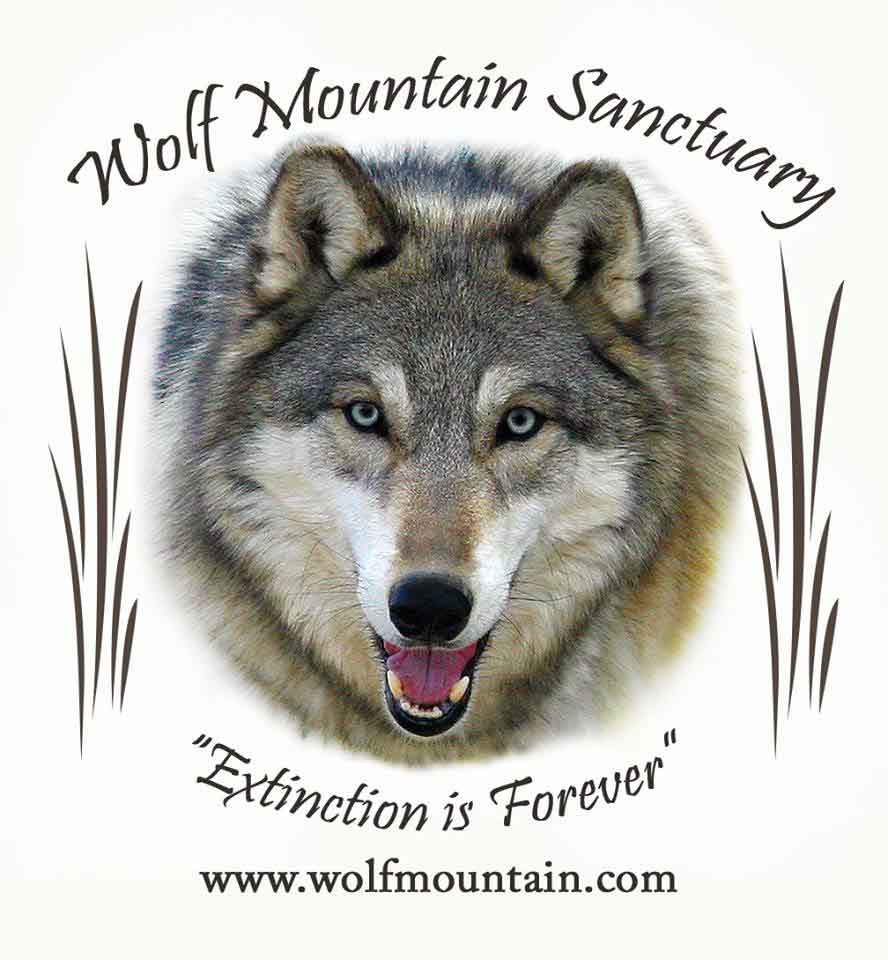 Wolf Mountain Sanctuary